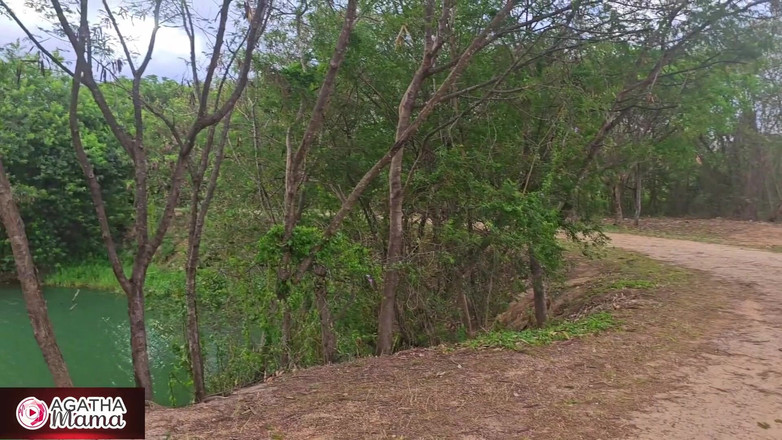 Agatha Mama: Agatha alăptează în timpul sexului în parc, cu pantalonii rupți