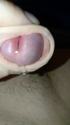 Swedish_switcher: 다시 착유하기 전