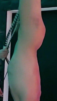 Miss Alessa Milano无情地颠倒立鞭打 第2部分