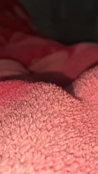 Dick Sucker