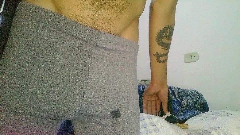 Virtual ToyBoy: poilu coquin se montrant