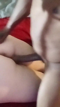 Nedbalý Lynn Backshot Velký Černý Péro Strčil dovnitř