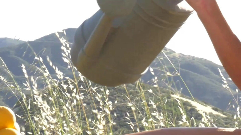 Lesbian Illusion: Le grand défi des lesbiennes top-modèles !! - (Défi #01)