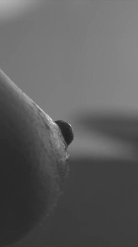 赤ちゃんは私の洗濯をします