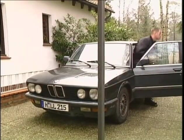 MMV films - The Original: Sahilde seks partisi.