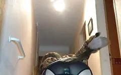 Traceytv sissy slut caged and plugged hard spanked