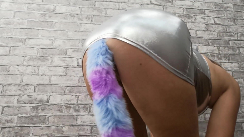 Dream Factory: Tail plug and blue dildo
