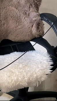 Hubená webová kamera Twink škádlí jeho ptáka v kalhotkách