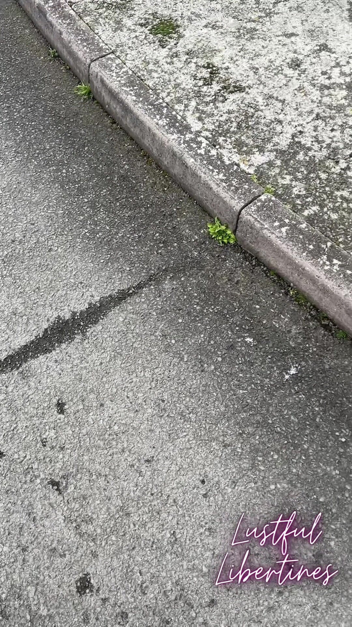 Lustful Libertines: 나와 함께 장난 꾸러기 산책에 와서