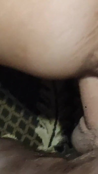 Muschi eines geilen schwarzhaarigen mädchens im doggystyle ficken