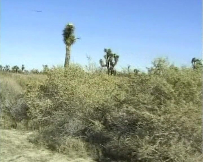 German's Old Chicks: 来自德国的熟女被搭讪并被干