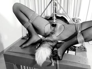 Bdsmlovers91: A Day in the Life of a Kitten: Ep.3 - Tied...