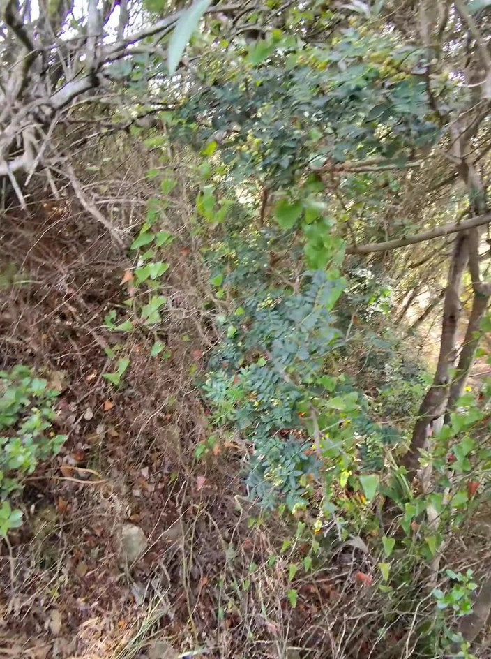Sofy13: A La Recherche D'un Coin En forêt Pour Me Faire...