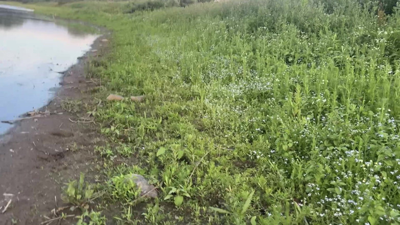 Riskiedik: Found a Abandoned Boat at the Lake so I Decided...