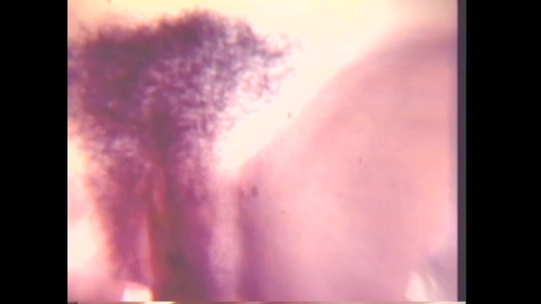 Vintage megastore: कमबख्त के साथ समलैंगिकों