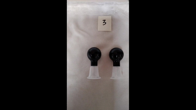 BonusholeToy: Ftm 奖励玩具，我的玩具收藏