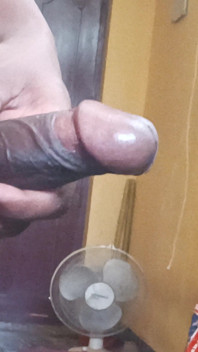 Village Desi Penis