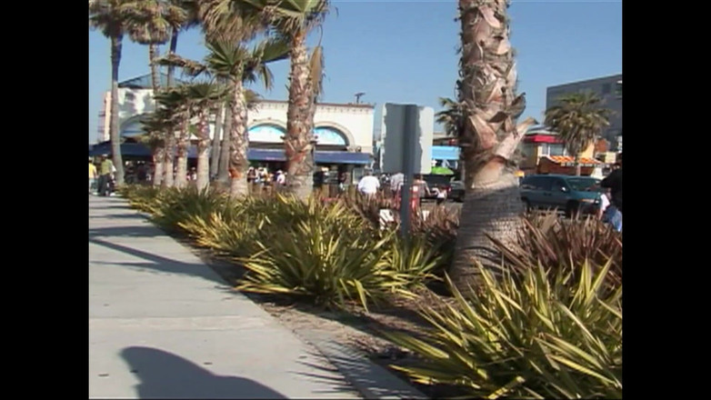 FM Video VOD: लड़कों को कमरे में मज़ा है (फिल्म)