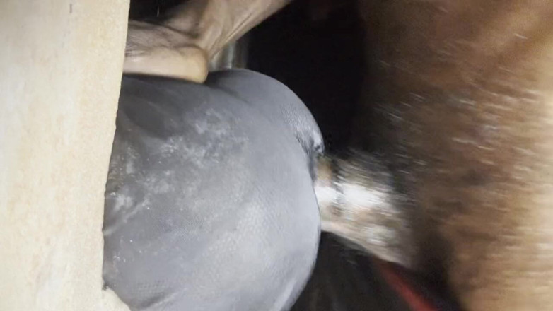 Bangcum8: Sexy čůrák se zapojuje do sexy hluboké děvky