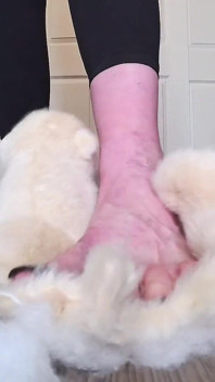 67 lanbi diggaj nange panv Plushie Crush: aakaar 16 pair ki anguthi phaarna khula aur khaali phoolna