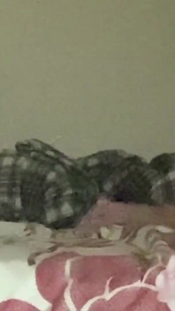 Bölüm 2 üvey baba üvey kızını sikiyor birden fazla göt deliği osuruyor anal orgazm gerçek amatör ev yapımı