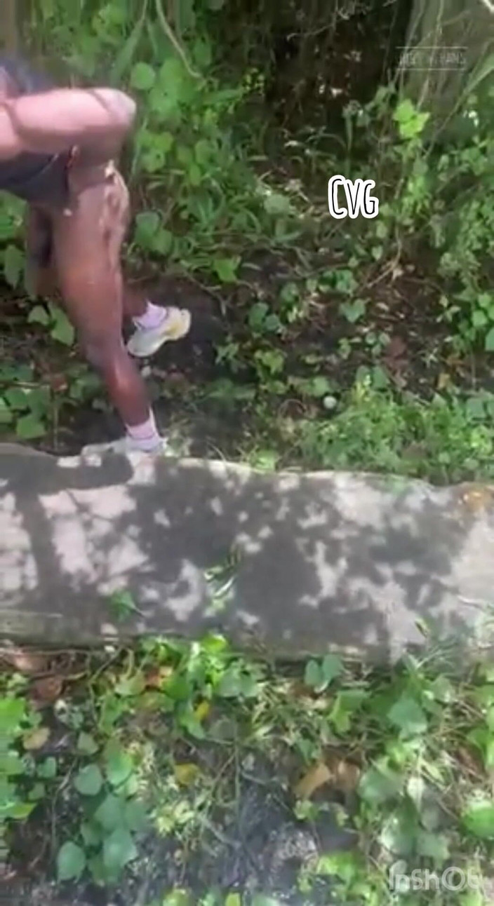 Creamyverseguy2: Unde a început totul după agricultură