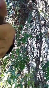 İşeme ve Herkese Açık Gösterme