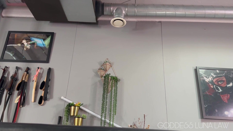 Goddess Luna Law: Jesteś moim zwierzakiem teraz! POV