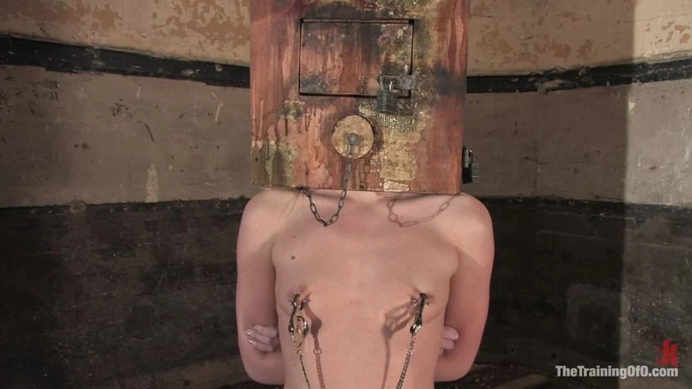 The Training of O by Kink: The Training of Sarah Jane Ceylon, Day Three
