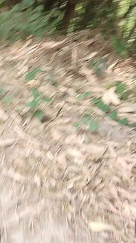While Walking Around the Field, He Started Punching Loudly