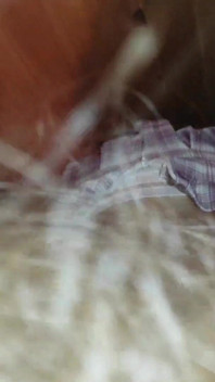 Stepdaddy's College Girl Sucks Dick After College