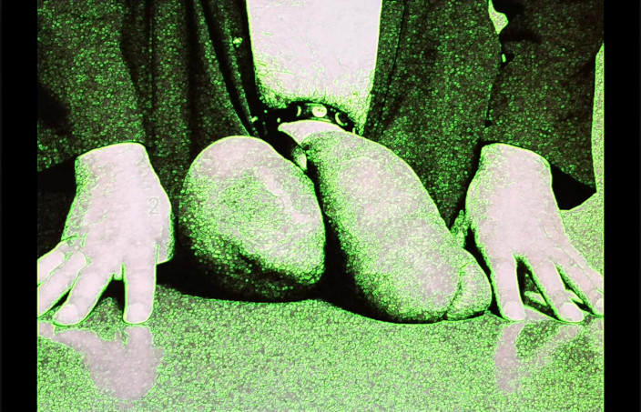 Monster_Meat_: Rozkrok belgických fotokolek