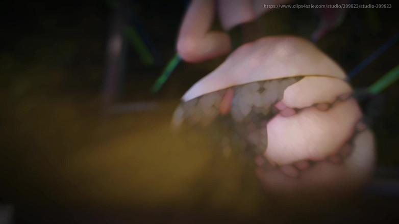 Asdfghjl2025: B013, une esclave transformée en sous-vêtements pour femmes