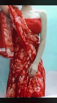 Lala Saree Orgasam