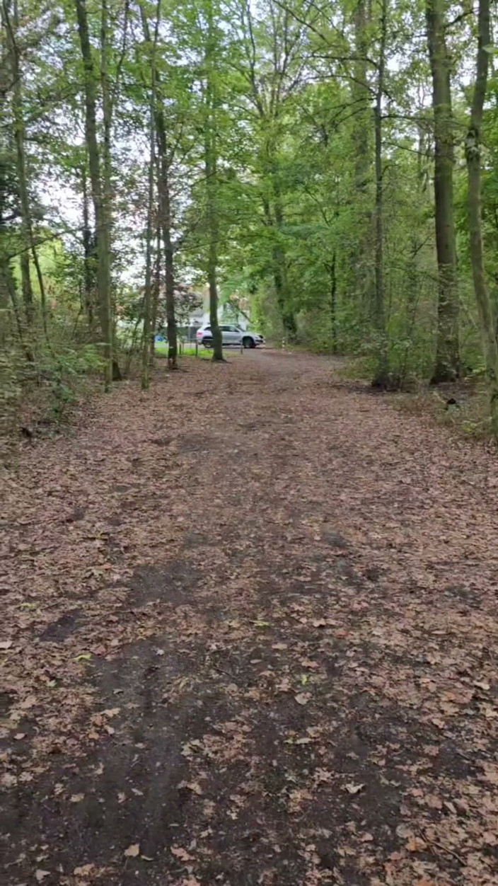 Elena917: Naked Walk in Park, Peeing, Bondage for Tits Play and...