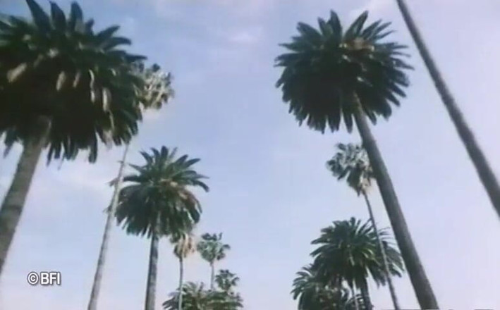 Vintage Vixens: เทปเซ็กซ์วินเทจ Beverly Hills - มีซับไตเติ้ลภาษาดัตช์