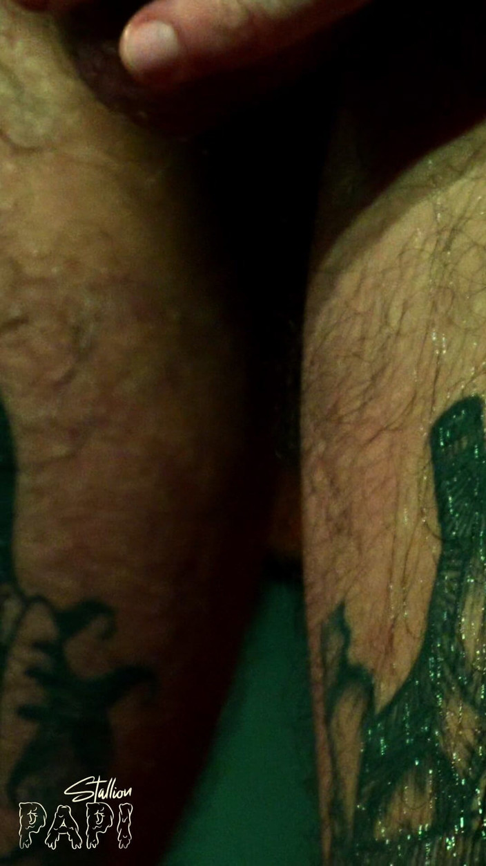 Stallion papi: モービッド、タトゥー、レファ