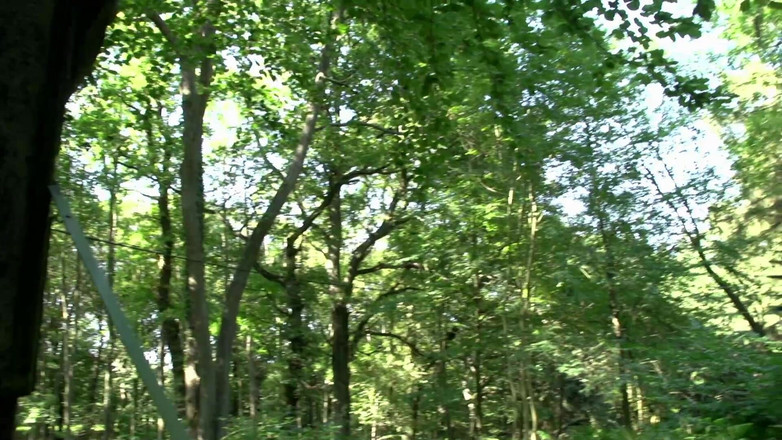 MILF and Big Wet Tits XXX: Německá MILF dvojitá penetrace wild fuck fest