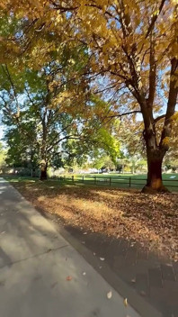 Publiczna masturbacja Boise Idaho Greenbelt Bike Walking Trail