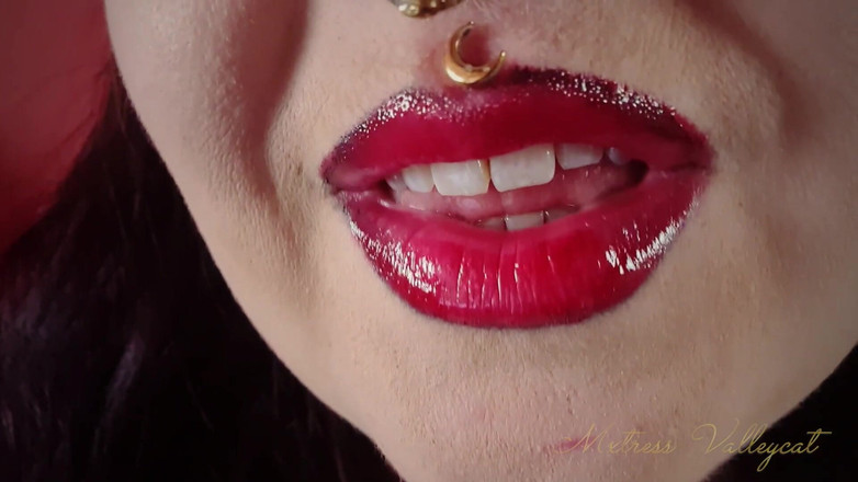 Mxtress Valleycat: Pohltování vesnické ekonomiky