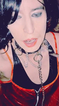 Tammysissy fugowane i