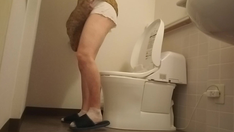 Mayumi Kanzaki: Hoteltoiletten