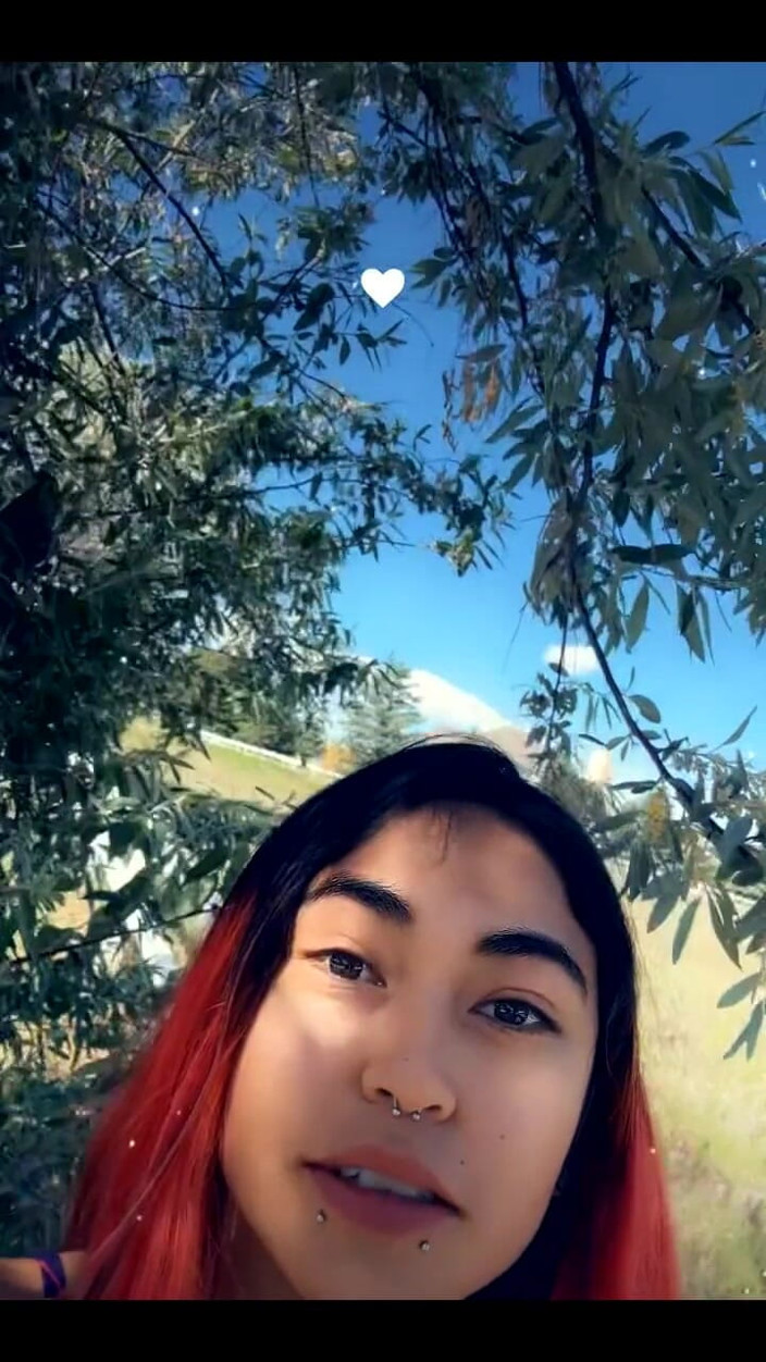 lilRavenFox: 3358123669