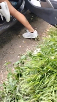 Entre camioneros y arbustos no perdemos nada. Parte 2