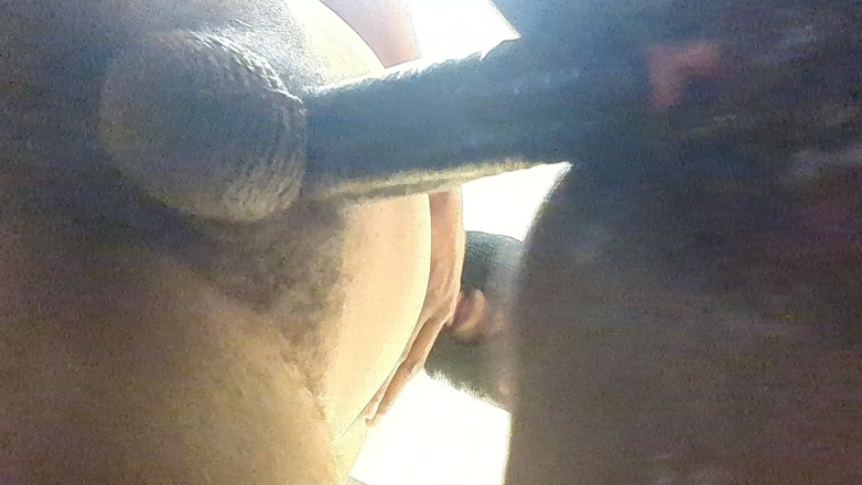 Themeatz: Enjoy the View Do You Like Doggy Style?!
