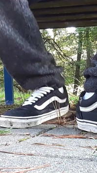 I'm Showing off My Vans Shoes, a Compilation of the Best with Vans