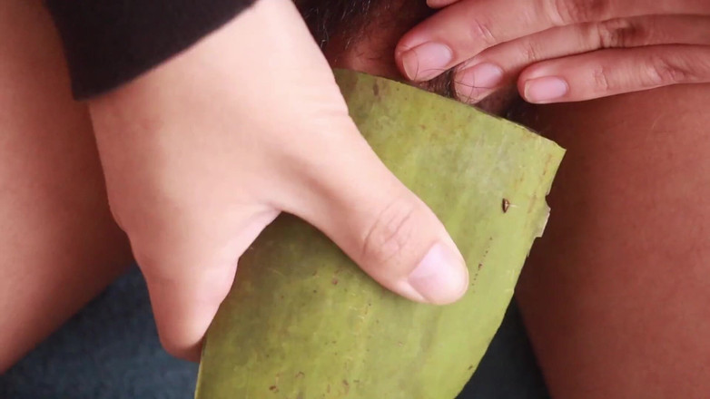 MGEc21: Aloe Vera와