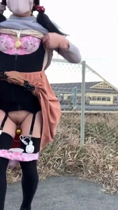 Trainer's Command No. 29: Public Beach Exhibitionism