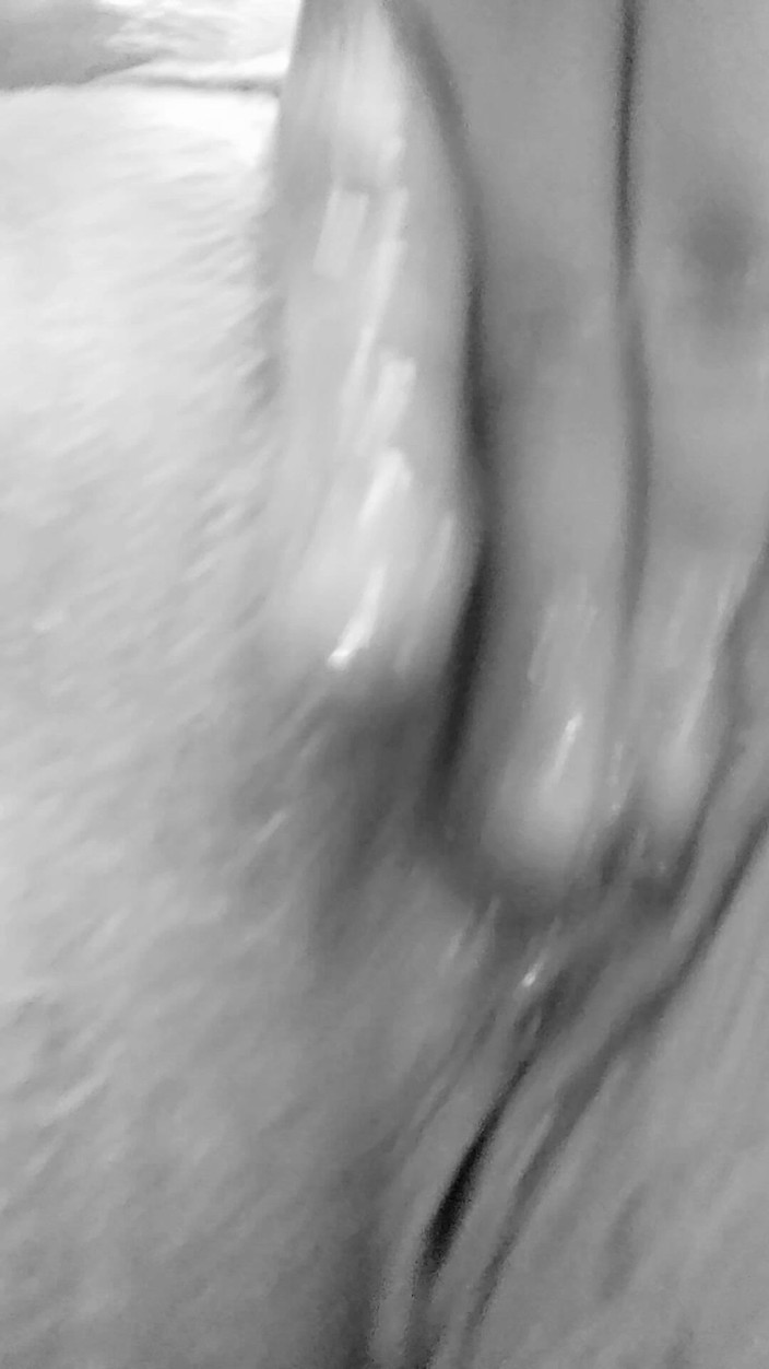 Misses Dickinson and Roughael: Masturbasi memek berlumur minyak