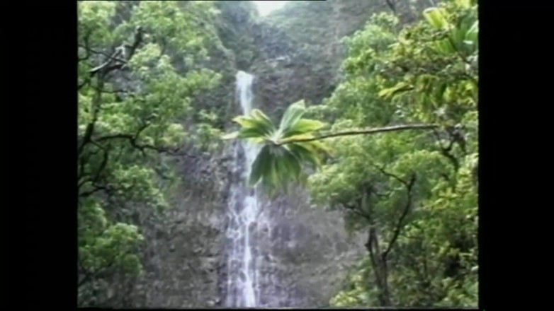 MMV TV - our best full movie: Những con đĩ người Đức điên cuồng hứng lượng tinh khổng lồ trên...